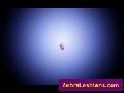 Zebra girls - black lesbian babes fucking white lesbos video